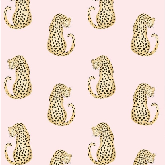 Posh Ambassador - Picture 1 of 1